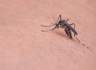 Informe semanal da dengue aponta 60 novos casos no Paraná