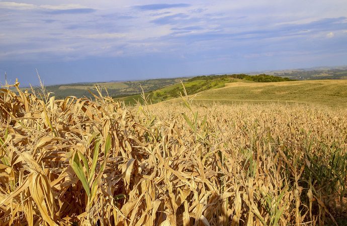 Estado pede apoio ao Governo Federal para produtores prejudicados pela crise hídrica